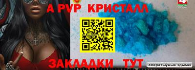 стаф Дубна
