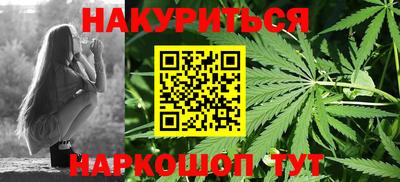 стаф Дубна