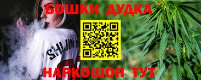 стаф Дубна