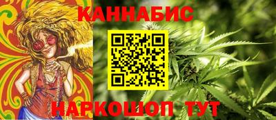 стаф Дубна