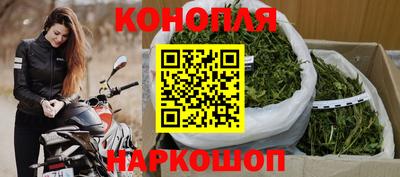 стаф Дубна