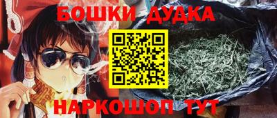 стаф Дубна