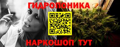 стаф Дубна