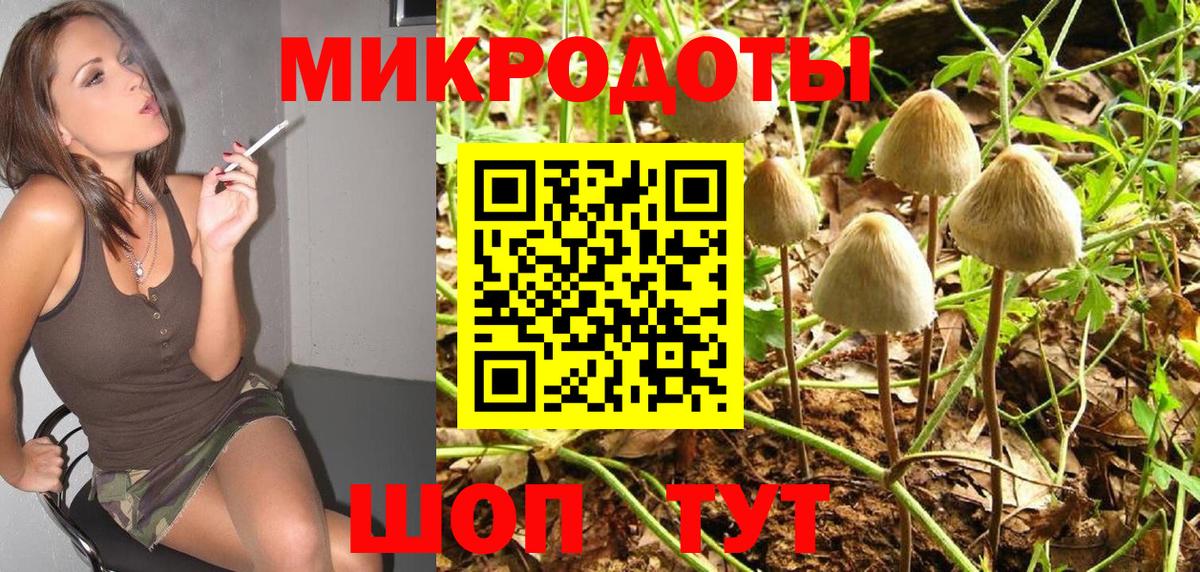 Кунгур  Галлюциногенные грибы Cubensis  Псилоцибиновые грибы прущие грибы  Вход с VPN 