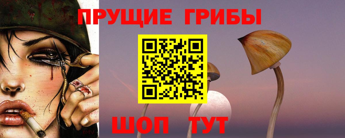 Псилоцибиновые грибы GOLDEN TEACHER Кунгур